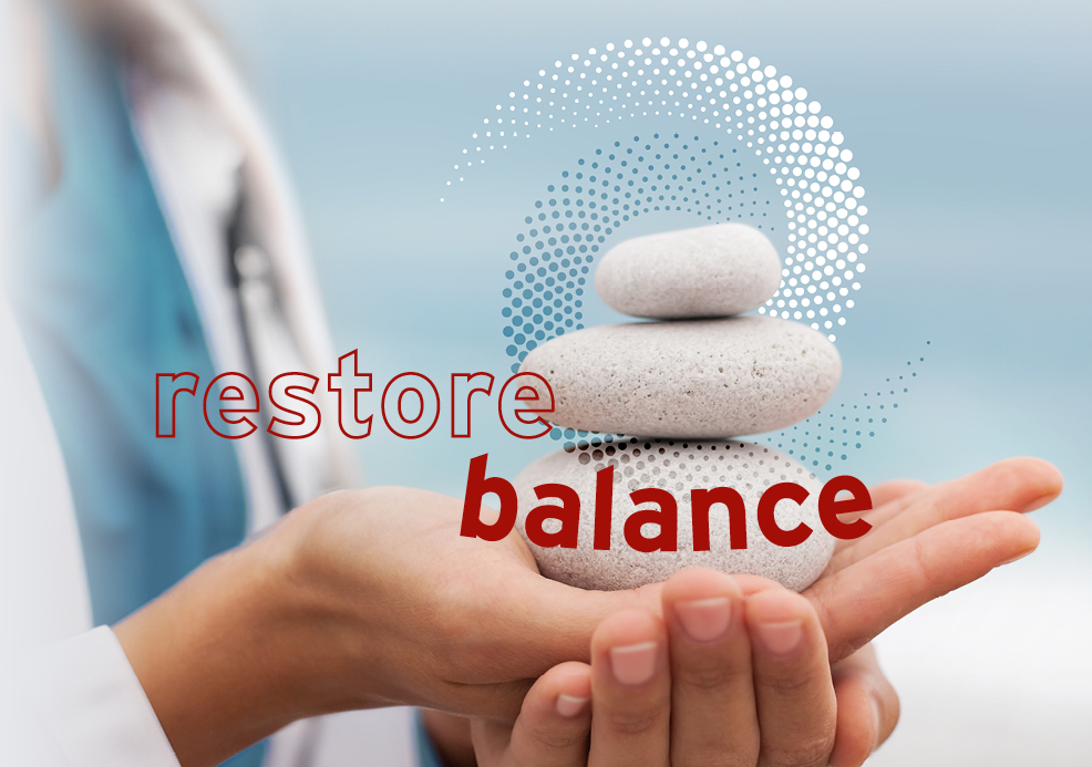 Hämoadsorption mit  <br>HematoPure Duo